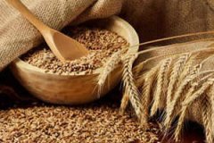 ����Ĺ�Ч������ ������ʲô��Ч