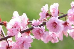 ������ʲôʱ�� ���ֽ����Ľ���