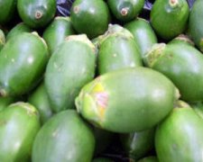 ���ƵĹ�Ч������ ������ʲô��Ч