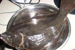 ���Խ���֪ʶ ���Խ����سԵ�5��ʳ��