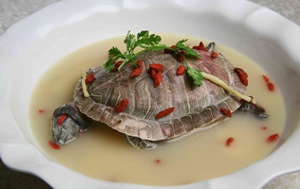 ������������