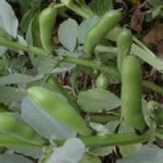 �컨�һ��εĹ�Ч������ ���ε�����