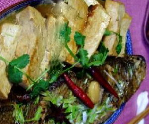 �ƻ���������