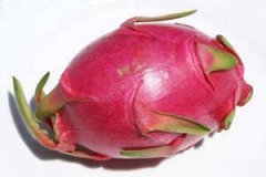 ���ʷ���С���� �������ɿ�ʳ��