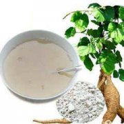 ����������Ժ� ����������Է���