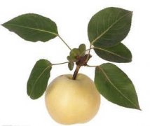 ������ʲô���� ��������ע������