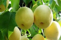 �����Ǽ��¼��� ���ݲ�ͬ����������֮��