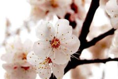 ���ݽ������� ����է�������λ�