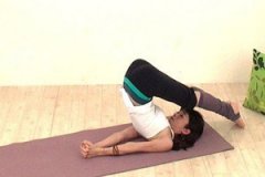 �ݱ��٤����������Щ �ݱ��٤�Ĳ���