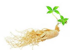 ������������ ��������ʲô��Ч