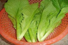 ������������ʳ�״�ȫ ����������ζ