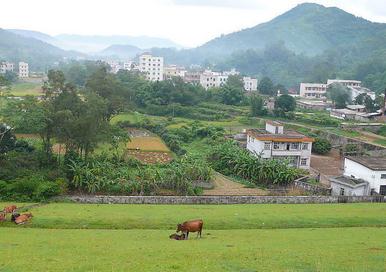 农村住宅风水禁忌有哪些 农村住宅风水讲解