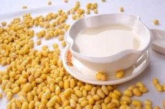 �����������ĺô� �Ŷ�������