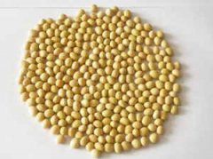 ������������ĺô� �������������������