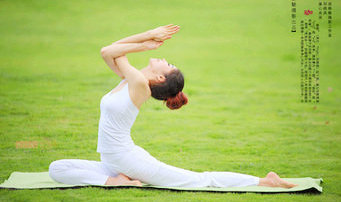 �٤�ĺ�������