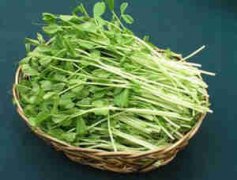 ��ˮ����ʳ���Ƽ� ��ζ�Ķ���������