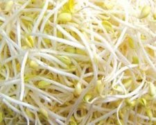 ��������׼�� ���������������