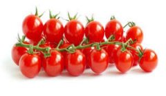 ����������֪ ��ѧ������