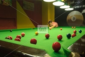 四大贵族运动 贵在生活态度