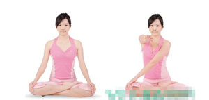 ����Ťתʽ���������