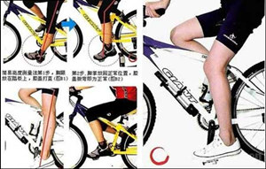 ��ȷ�����г�����������