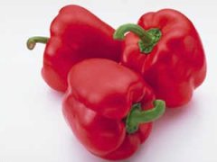 ���λ�����ʳ���ȫ ����ʳ������Щ