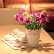 �Ҿӻ�������ɫ����