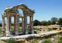 ����ʮ���Ļ��Ų�