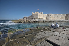 ����ʮ���Ļ��Ų�