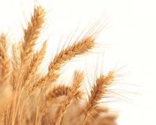 ��������ʧ�߳�ʲô�� �����˸���˯��ʳ��