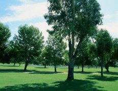 ������С��������̼����