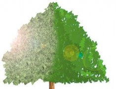 ������ȫ�������˾���а�