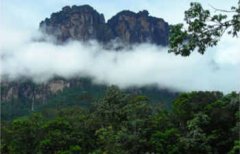 ������Ȼ�Ų�֮������ƪ