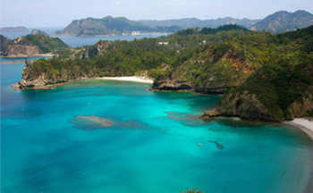 ��϶����������˹Ⱥ��