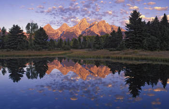 ����Ŭ��Ȼ������