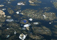 ʮ��ˮ��Ⱦ�¼�