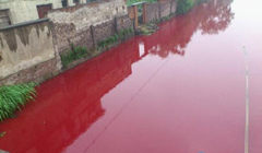 ʮ��ˮ��Ⱦ�¼�