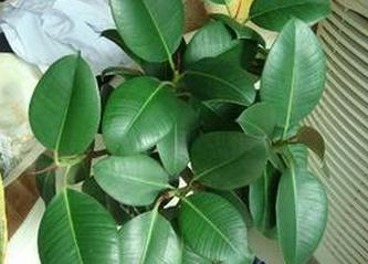 ɰ�ұ���ǽ���ص�����Щ ɰ�ұ���ǽ��ؽ���