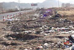 ������Ⱦ