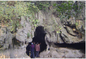 �����徰������