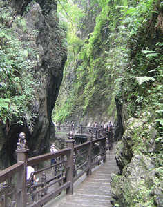 �����徰������