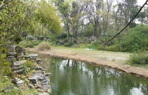 �й���ѧԺ�人ֲ��԰����ô