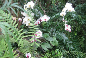 �й���ѧԺ�人ֲ��԰����ô