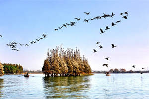 �����羰������ô