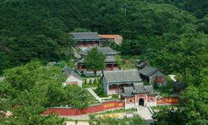 �������ι���