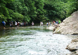 �������������Ƽ�