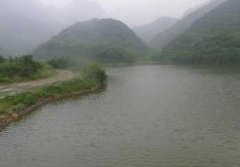 �����ܱ�¶Ӫ�ĵط��Ƽ�