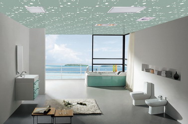 �ִ�ԡ��װ��Ч��ͼ