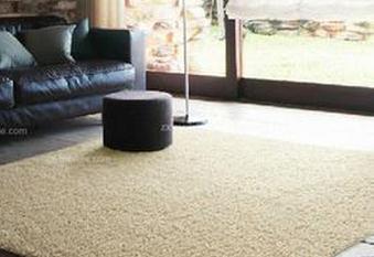 进口地毯品牌排行榜 进口地毯品牌介绍