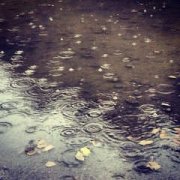 ������������ϰ����ʲô ��������֪ʶ